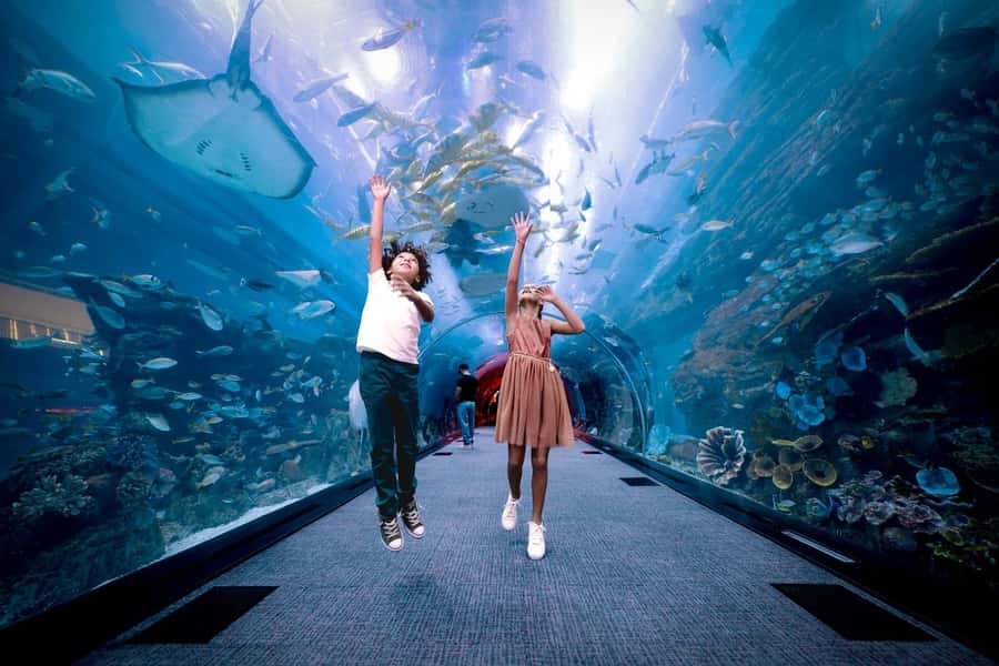 Dubai: Aquarium and Underwater Zoo Experience - Scientists, conservation, and animal care
