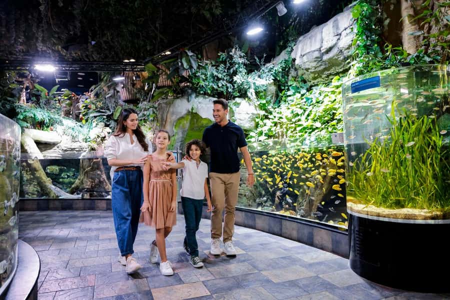 Dubai: Aquarium and Underwater Zoo Experience - Choosing between the four ticket types