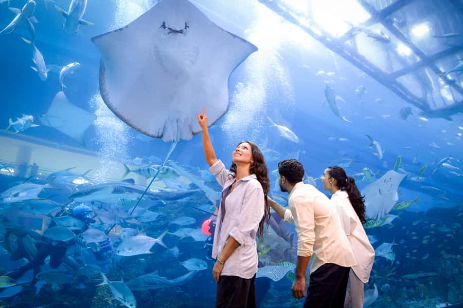 Dubai: Aquarium and Underwater Zoo Experience - How long to allow and when to visit