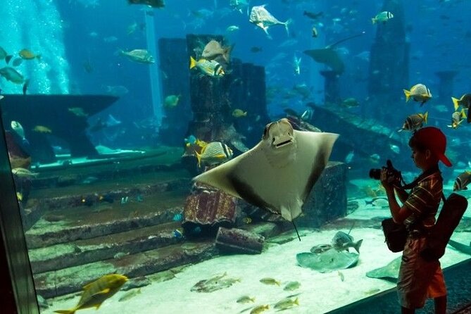 Dubai Aquarium and Underwater Zoo with Penguin Cove Tickets. - The Underwater Zoo and its three habitat zones
