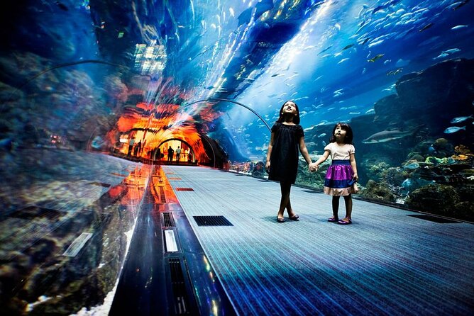 Dubai Aquarium and Underwater Zoo - Three zones, three different kinds of exhibits