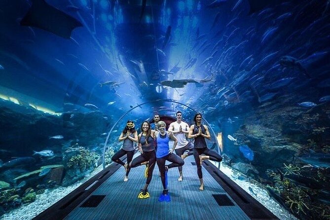 Dubai Aquarium underater zoo penguin cove with optional transport - The main tank is the reason to come