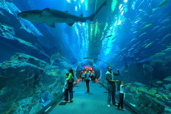 Dubai Aquarium & Underwater Zoo with Penguin Cove - The 10-million-liter main tank