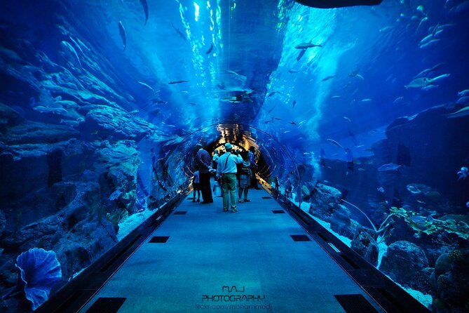 Dubai Aquarium & Underwater Zoo with Penguin Cove - Meeting King Croc at the Underwater Zoo