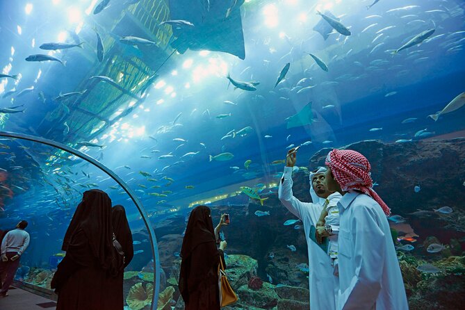 Dubai Aquarium & Underwater Zoo with Penguin Cove - How the one-hour duration affects your plans
