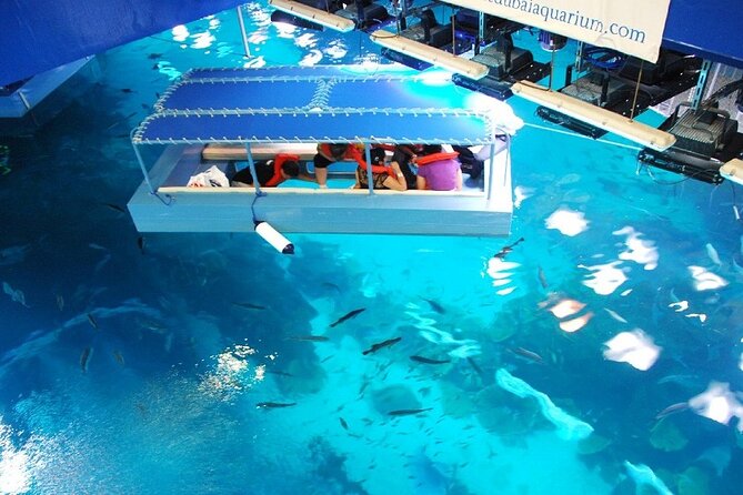 Dubai Aquarium & Underwater Zoo with Penguin Cove - Walking the 48-meter underwater tunnel