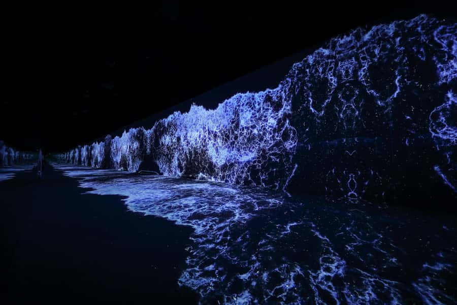 Dubai: Arte Immersive Museum Entry Ticket - Is $40 a good value for one day?