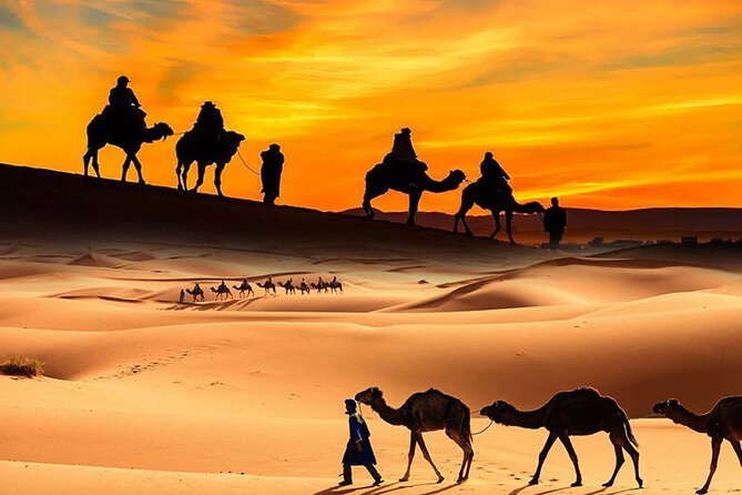 Dubai ATV Quadbike Desert Safari with Camel Ride Sand Boarding - Quick takeaways for choosing this safari
