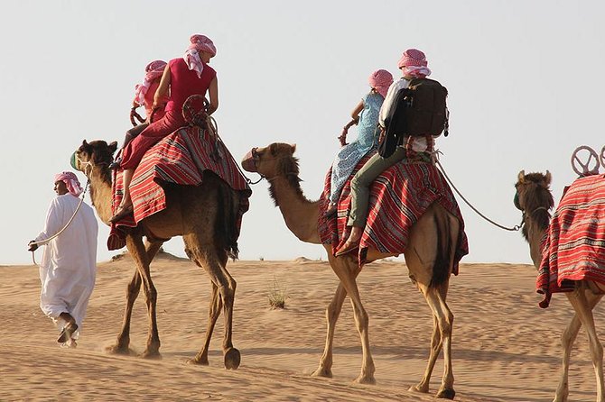 Dubai: ATV Ride and Desert Safari Drive (Morning Adventure) - Dune bashing in a shared Land Cruiser