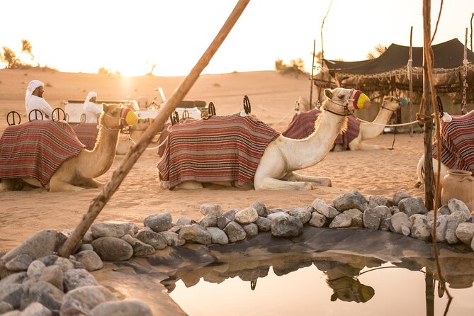 Dubai: Bedouin Culture Safari - Entering the reserve with a useful welcome gift