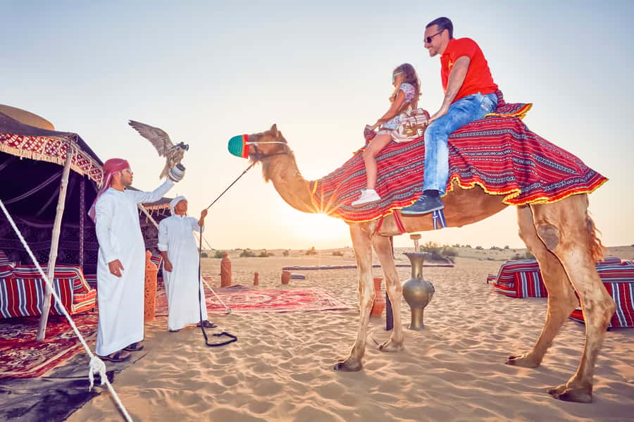 Dubai: Big Bus Hop-On Hop-Off Tour & Optional Dhow Cruise - The Arabian dhow cruise on Dubai Creek