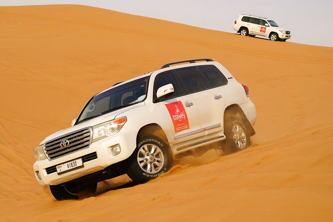 Dubai Buggy Tour in red sands and Desert Safari - Dune bashing adds a different kind of thrill