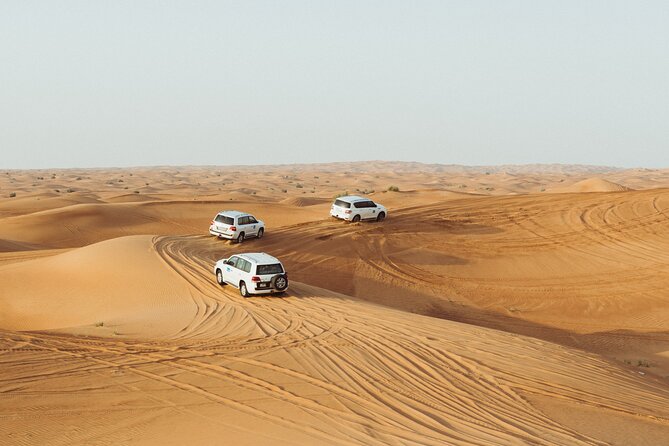 Dubai Buggy Tour in red sands and Desert Safari - Who should book this desert buggy tour?