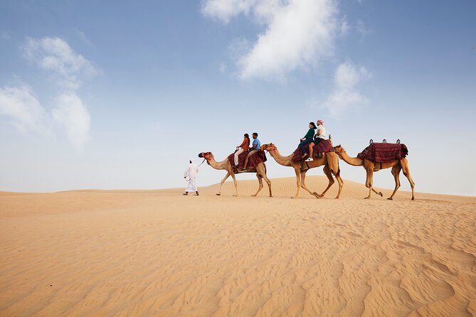 Dubai: Camel Caravan, Bedouin Breakfast with Al Marmoom Oasis - The drive to Al Marmoom Desert Reserve