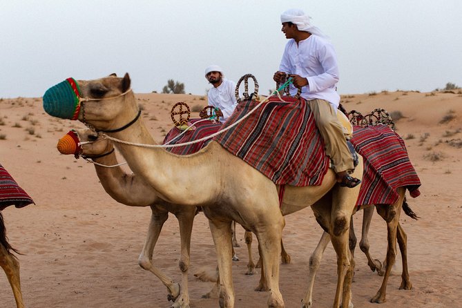 Dubai Camel Desert Safari, Traditional Meal & Heritage Activities - Entering the torch-lit Bedouin camp