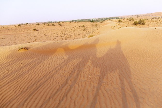 Dubai Camel Desert Safari, Traditional Meal & Heritage Activities - Falconry as the sun drops