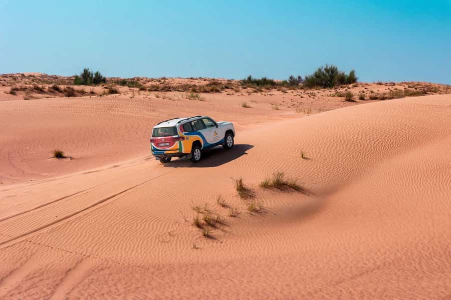 Dubai: Camel Safari, Wildlife & Lakeside Breakfast - The Camel Ride Is Calm, Short, and Scenic