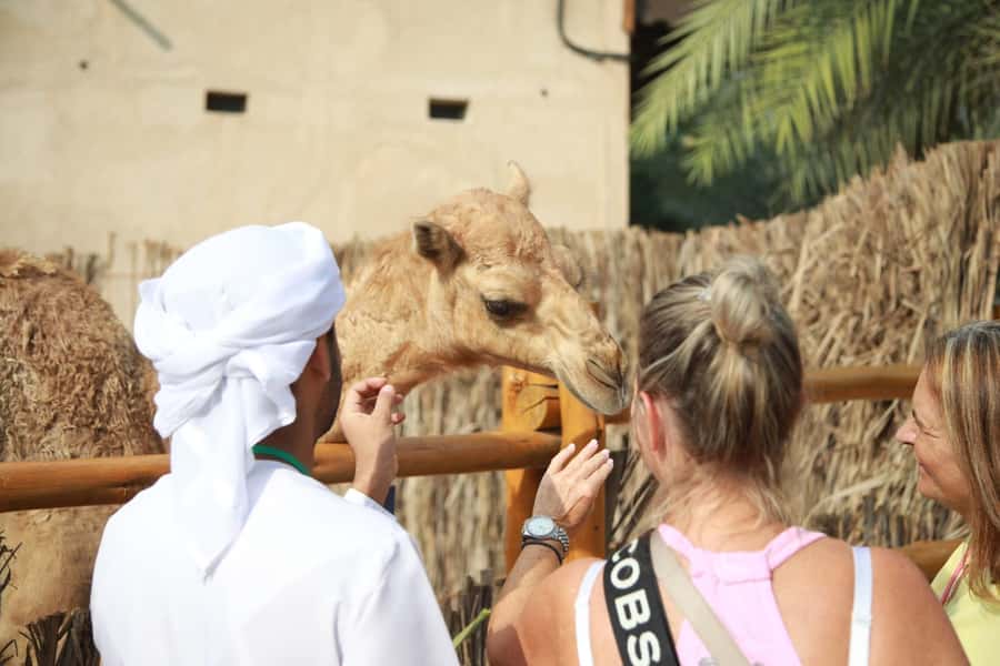 Dubai: City Highlights Private Layover Tour with Transfer - Dubai Marina and Sheikh Zayed Road