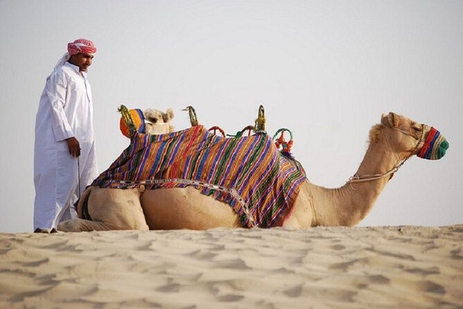 Dubai City Tour and Evening Desert Safari Combo - Sandboarding, sunset, and the road to camp