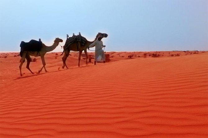Dubai City Tour (Old & New) Desert Safari, BBQ, Camel Ride, Shows - Al Fahidi and the story of old Dubai