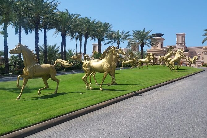 Dubai City Tour (Old & New) Desert Safari, BBQ, Camel Ride, Shows - The Bedouin-style camp after sunset