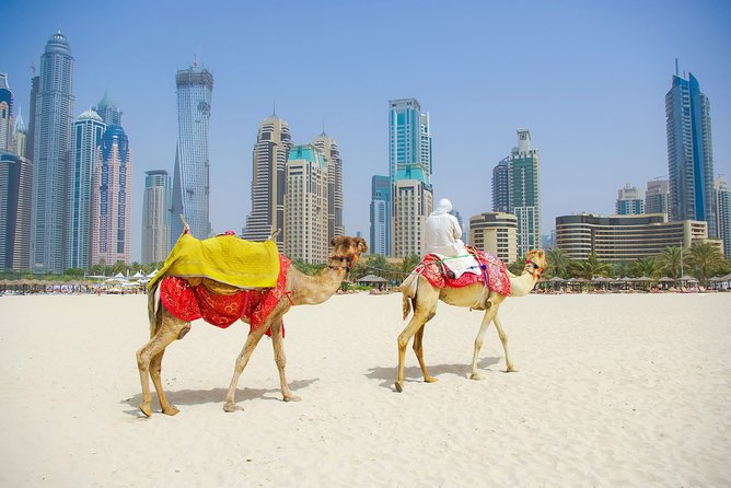 Dubai City Tour with Burj Khalifa at the top entry - Palm Jumeirah and Atlantis photo stops