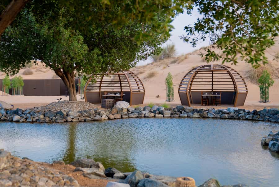 Dubai: Conservation Drive & Platinum Breakfast - My call: book it for peace, wildlife, and breakfast