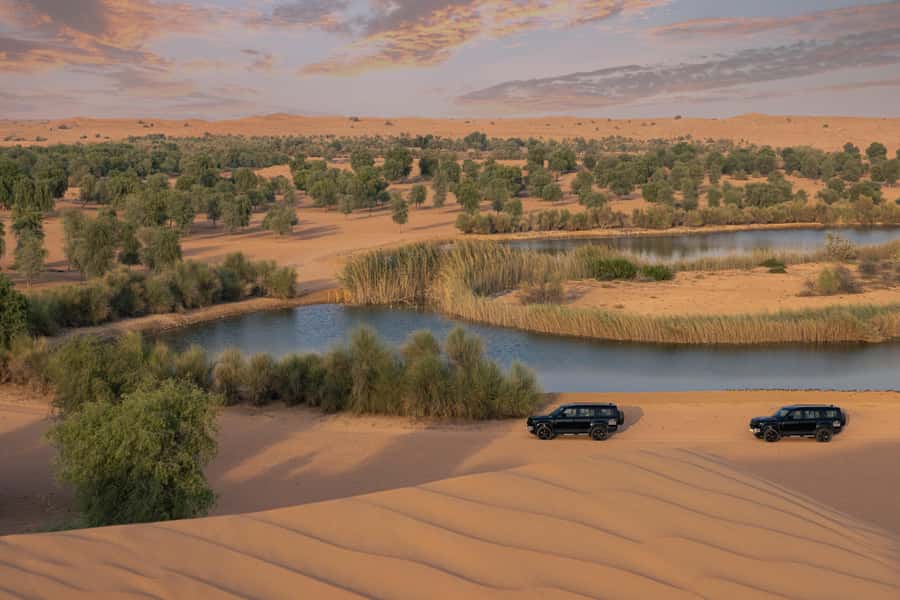 Dubai: Conservation Drive & Platinum Breakfast - Entering the Dubai Desert Conservation Reserve