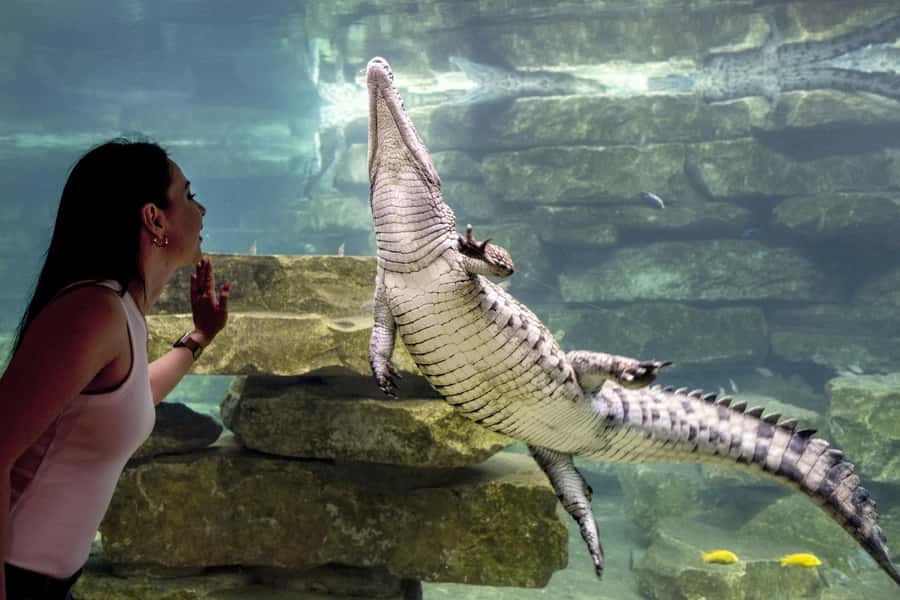 Dubai Crocodile Park Ticket - How long should you allow?
