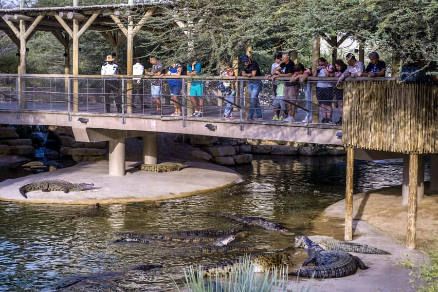 Dubai Crocodile Park Ticket - The practical side of the visit