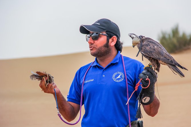 Dubai Desert 4x4 Dune Bashing, Sandboarding, Camel Riding, Dinner - The falcon demonstration and Emirati identity