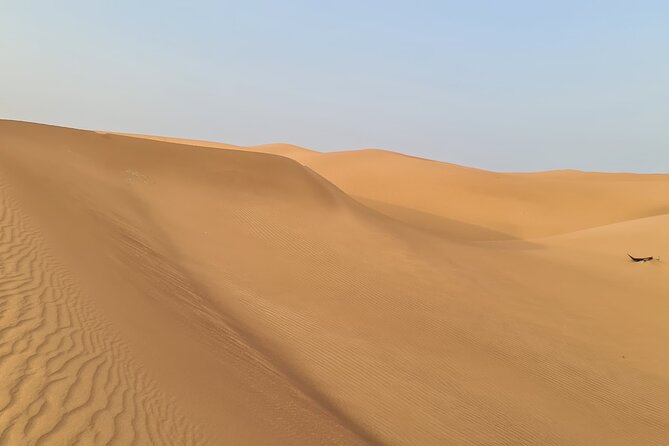 Dubai Desert 4x4 Dune Bashing, Self-Ride 30min ATV Quad, Camel Ride,Shows,Dinner - Taking the 30-minute self-ride ATV quad