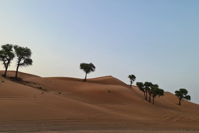 Dubai Desert 4x4 Dune Bashing, Self-Ride 30min ATV Quad, Camel Ride,Shows,Dinner - Belly dance, Tanura dancing, and the fire show