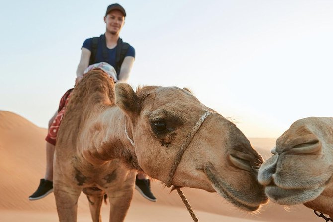 Dubai Desert Adventure: Red Dunes Guided Quad/Polaris ATV & BBQ - One hour on the sand, with real riding time