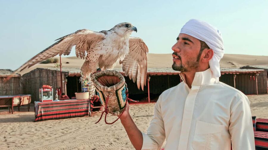 Dubai Desert Adventure: Red Dunes Guided Quad/Polaris & BBQ - A Short Camel Ride and Bedouin-Style Camp