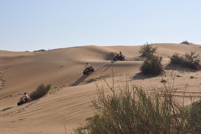 Dubai Desert Afternoon Quad Safari with Camel Ride, BBQ Dinner and Belly Dancing - The best parts of this desert evening