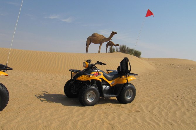 Dubai Desert Afternoon Quad Safari with Camel Ride, BBQ Dinner and Belly Dancing - How the $120 price holds up