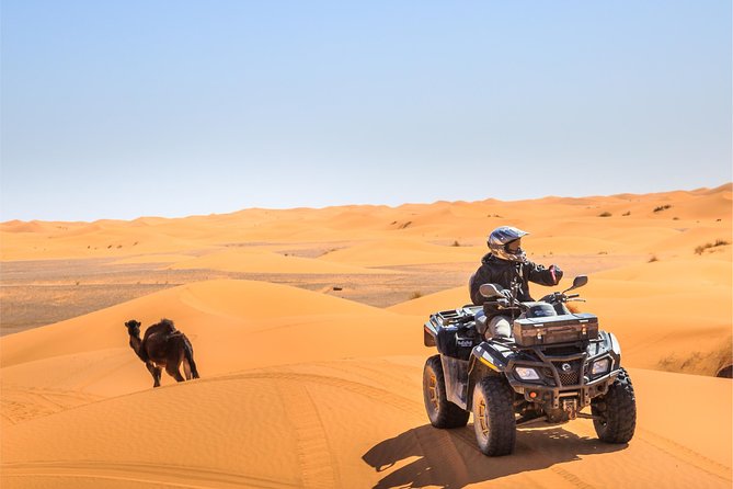 Dubai Desert BBQ Dinner, Camel Ride, Sandboarding and Live Shows - Camel riding: a brief taste of Bedouin travel