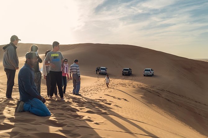 Dubai Desert Bespoke: Red Dunes Safari, Camel Ride & BBQ Options - The high dune photo stop and sandboarding