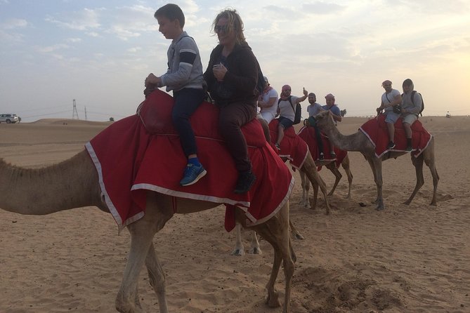 Dubai: Desert Camel Ride with Live Shows & BBQ Buffet Dinner - A one-hour camel ride at sunset