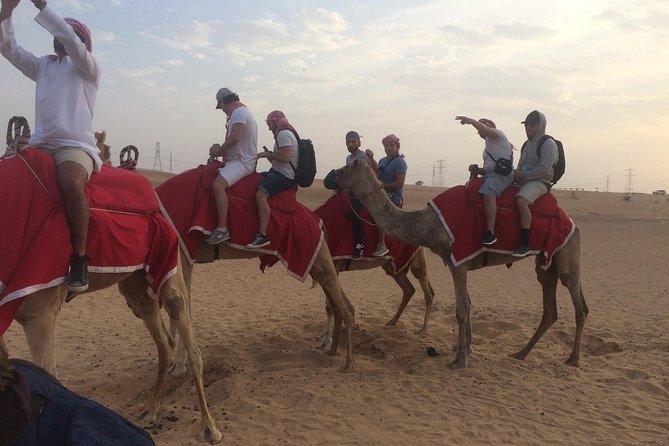 Dubai: Desert Camel Ride with Live Shows & BBQ Buffet Dinner - How the $110 price compares with what you receive