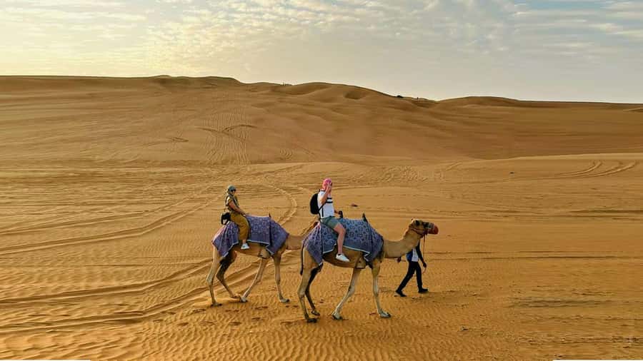 Dubai: Desert Camel Ride with Live Shows & BBQ Buffet Dinner - Practical tips for a smoother evening