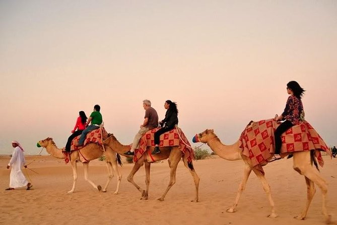 Dubai: Desert Camel Ride with Live Shows & BBQ Buffet Dinner - Safety briefing and the first desert views