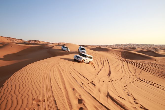 Dubai Desert Discovery: Red Dunes Safari, Sandboard & Camel Ride - Forty-five minutes of dune bashing