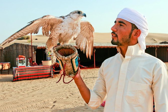 Dubai Desert Journey: Red Dunes Safari with BBQ in Bedouin Camp - Is $68.16 good value?