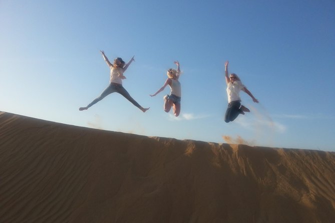 Dubai Desert Morning Tour in 4WD Vehicle: Camel Ride, Quad Bike Tour, Sandboarding, and Camel Farm - Meeting the camels at the farm