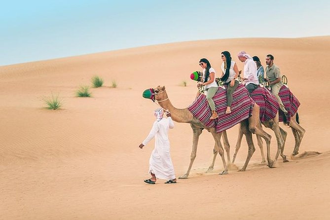 Dubai Desert Red Dune Half-Day Safari Adventure and BBQ Dinner - Who will get the most from this safari