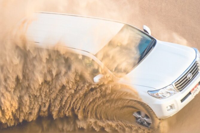 Dubai Desert Safari 20 mins Dune Bashing BBQ Live Show Camel Ride - Guides, Safety, and Service