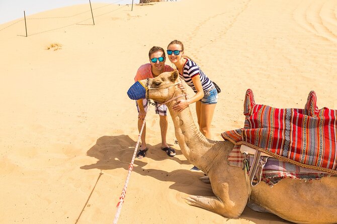 Dubai Desert Safari: 4x4 Dune Bashing, Camel Ride & BBQ Dinner - Falconry and an old Emirati tradition