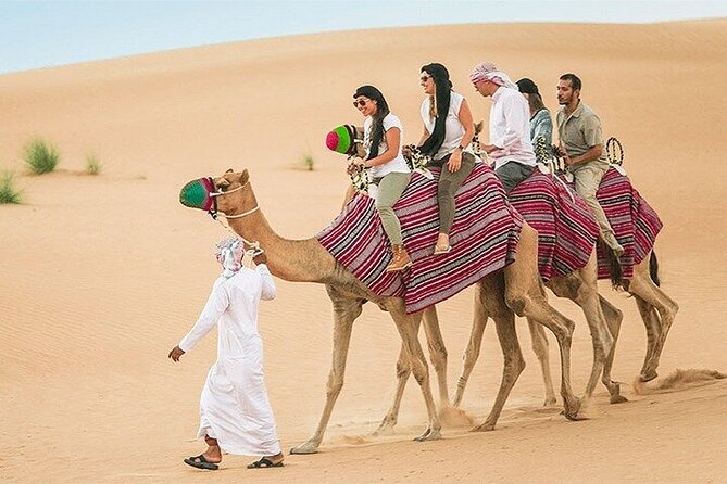Dubai Desert Safari Adventure, 60mins ATV, Camel Ride, Shows, BBQ - Who will enjoy this safari most